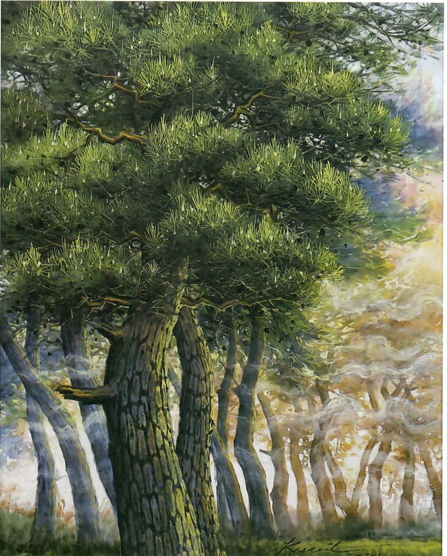 노송과 밝은 숲의 대비가 돋보이는 솔의 향기